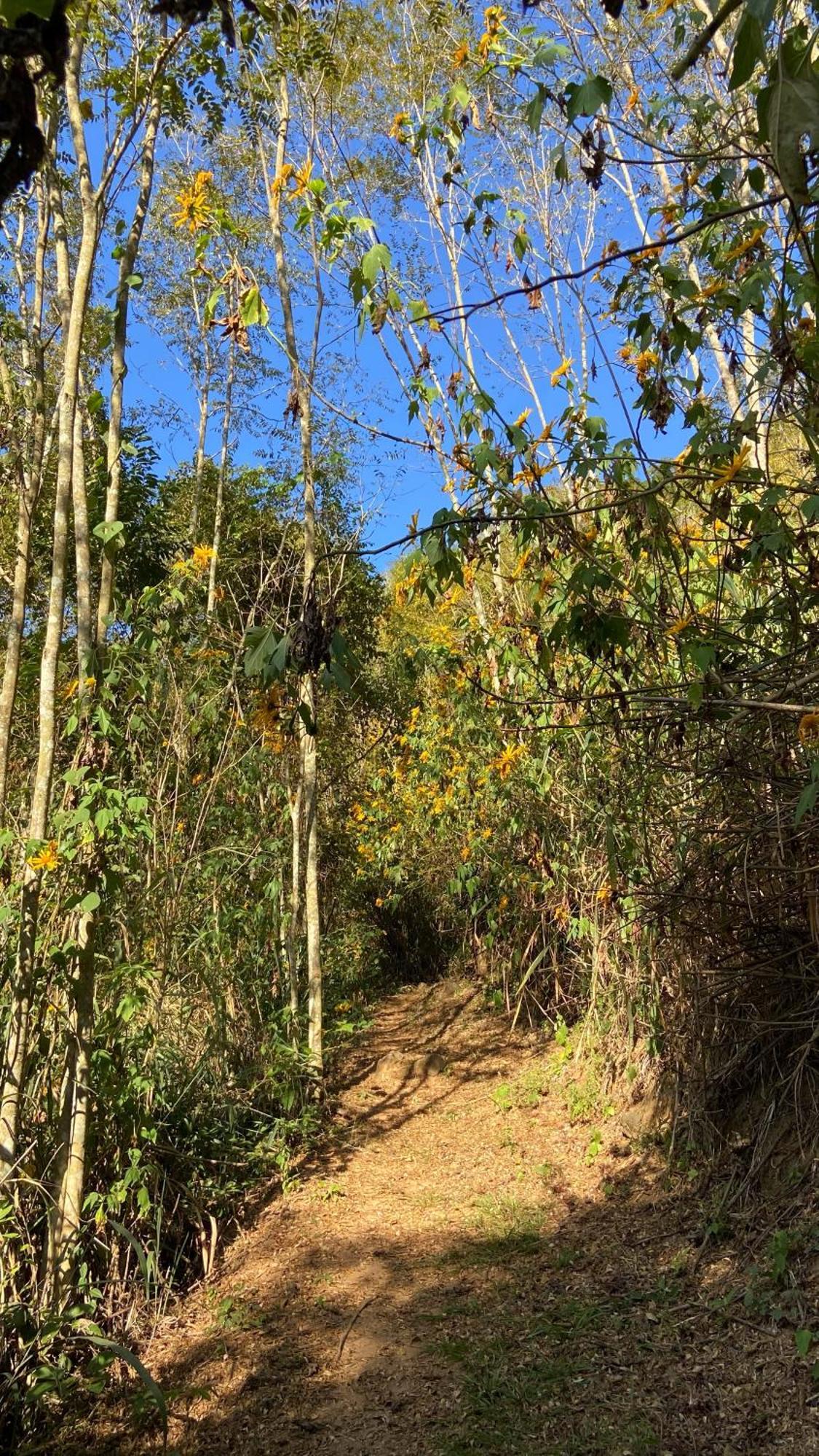 Chale Laranja - Sitio Caldeirao Villa Posse  Exteriör bild