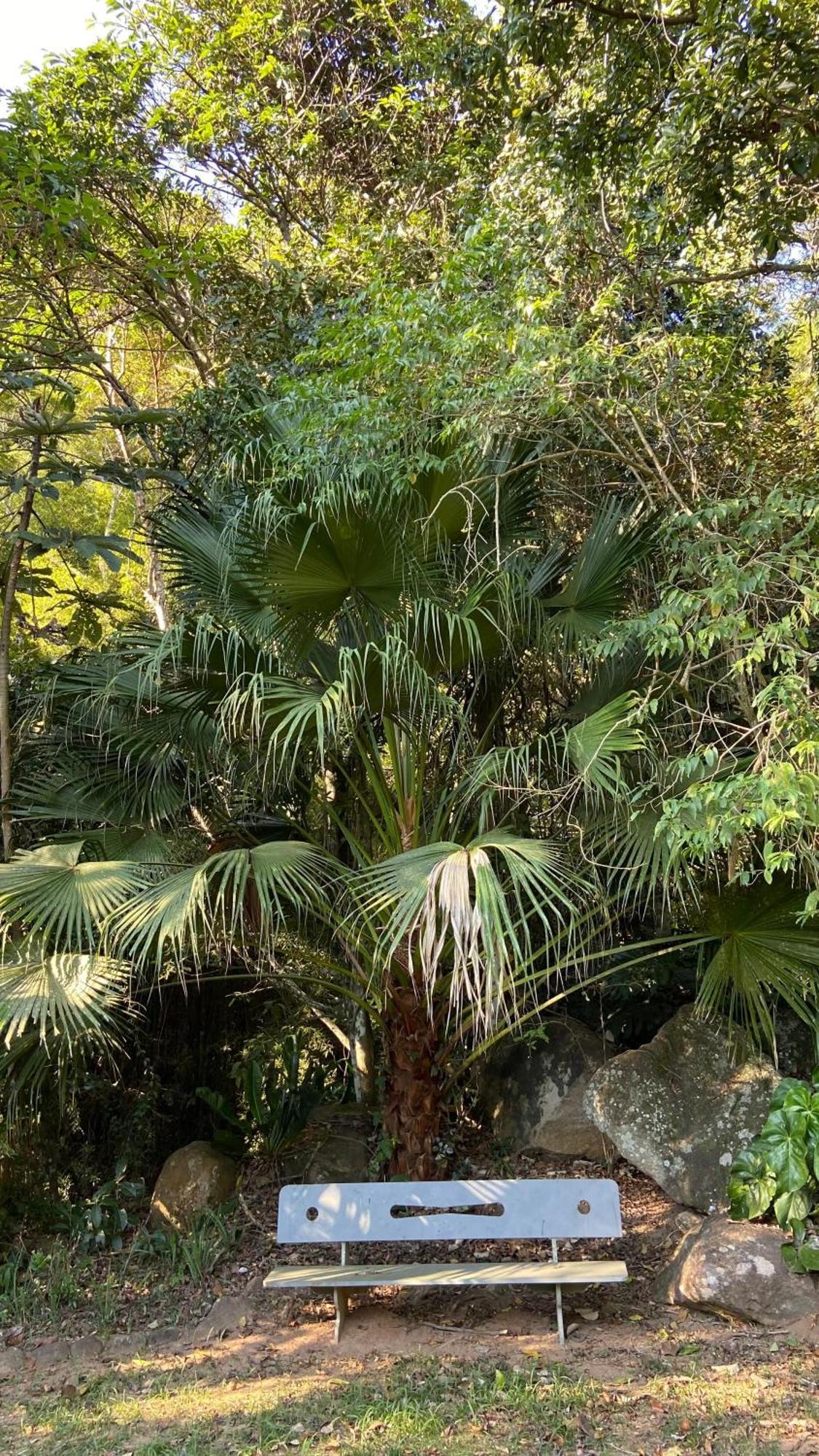 Chale Laranja - Sitio Caldeirao Villa Posse  Exteriör bild