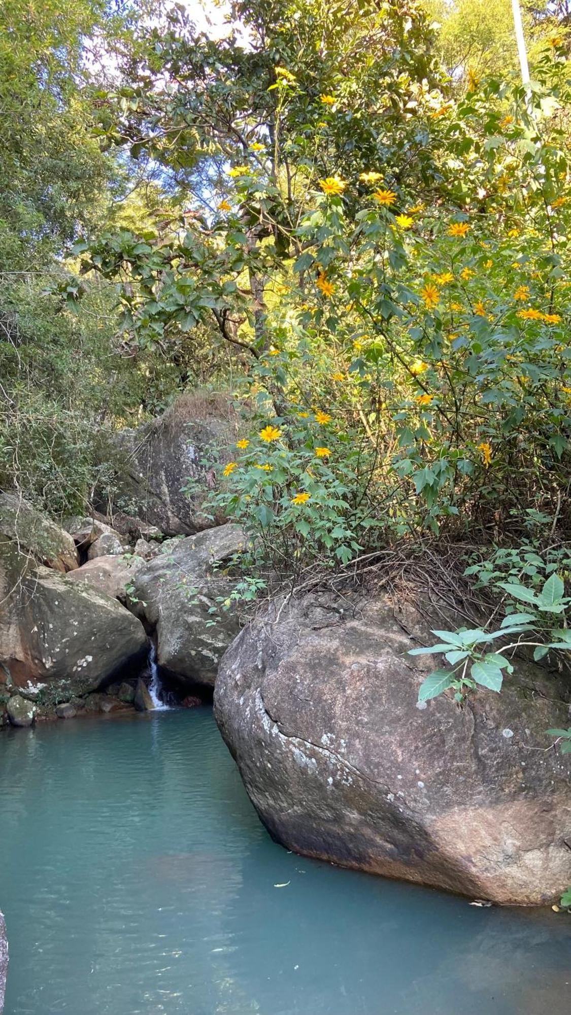 Chale Laranja - Sitio Caldeirao Villa Posse  Exteriör bild