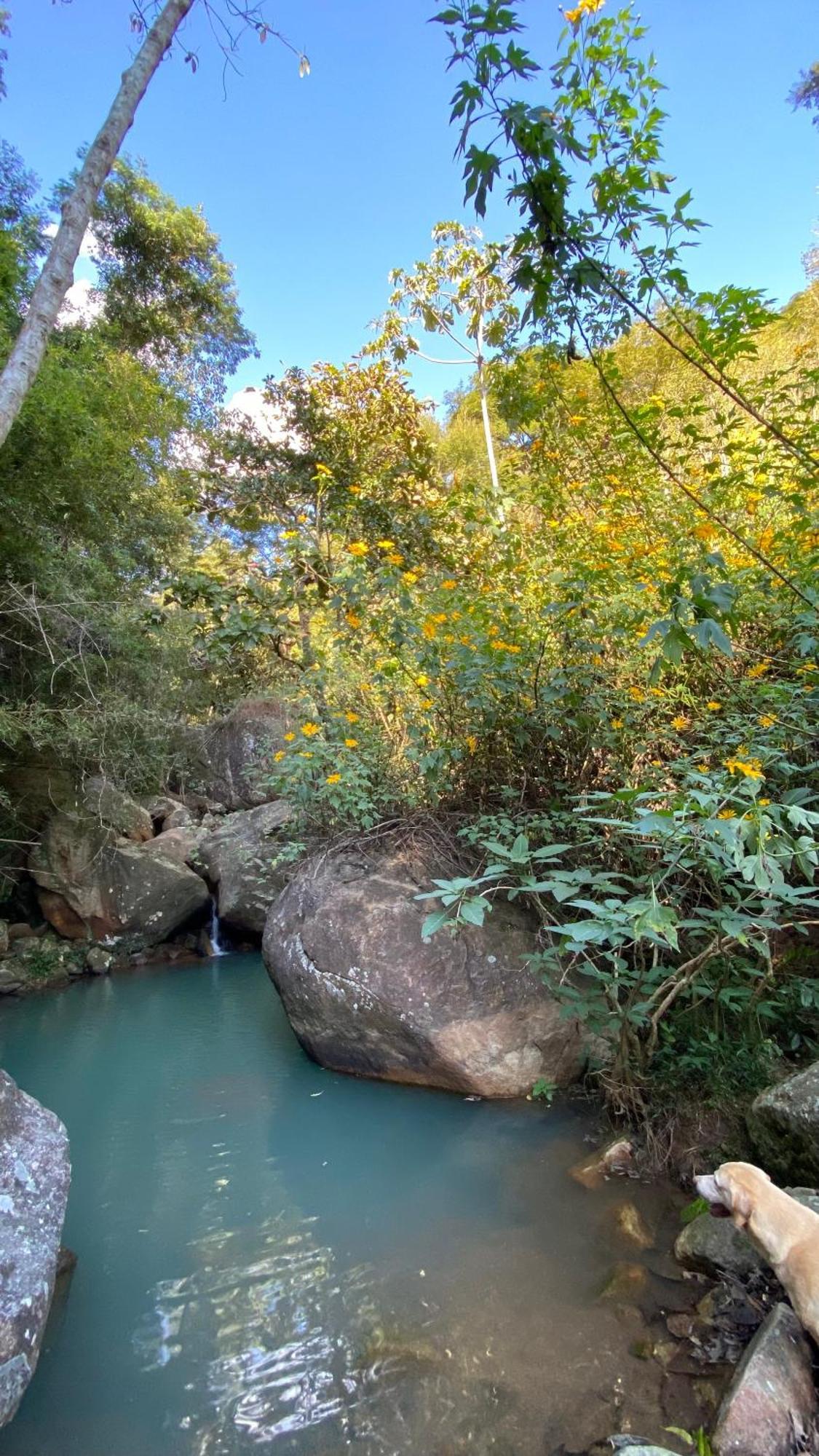 Chale Laranja - Sitio Caldeirao Villa Posse  Exteriör bild